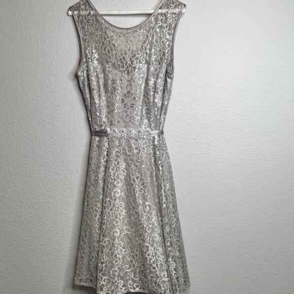 CACHE Champaign Metallic Threaded Lace Empire Waist Evening Cocktail Dress Sz 12 - Picture 8 of 15
